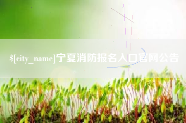 射洪宁夏消防报名入口官网公告