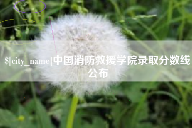 射洪中国消防救援学院录取分数线公布