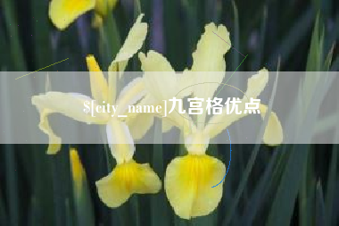 射洪九宫格优点