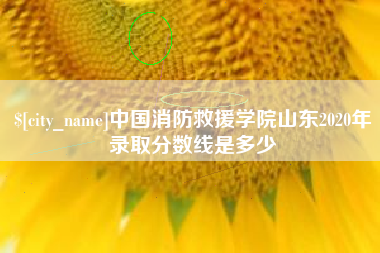 射洪中国消防救援学院山东2020年录取分数线是多少