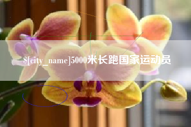射洪5000米长跑国家运动员