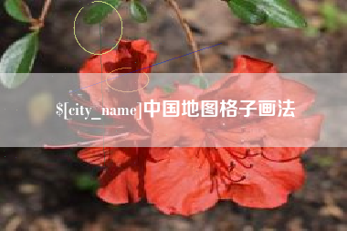 射洪中国地图格子画法
