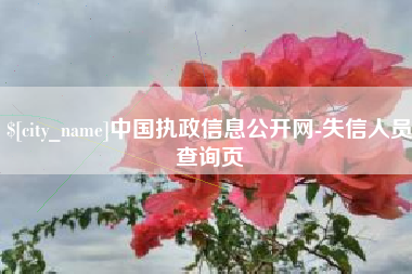 射洪中国执政信息公开网-失信人员查询页