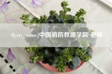 射洪中国消防救援学院 老师