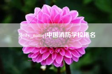 射洪中国消防学校排名