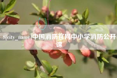 射洪中国消防官网中小学消防公开课