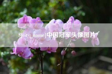 射洪中国冠军头像图片