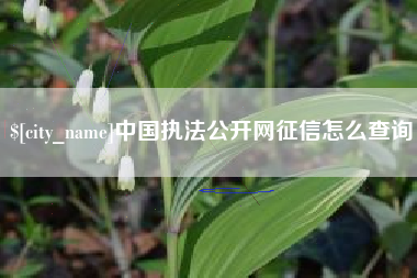 射洪中国执法公开网征信怎么查询
