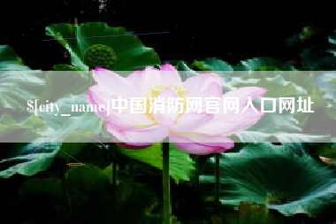 射洪中国消防网官网入口网址