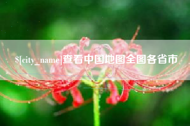 射洪查看中国地图全图各省市