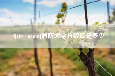 射洪消防大学分数线是多少