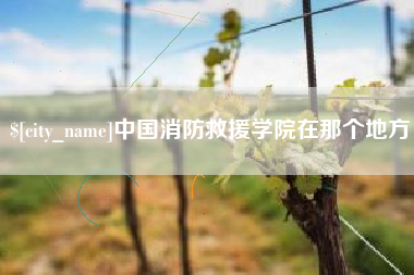 射洪中国消防救援学院在那个地方