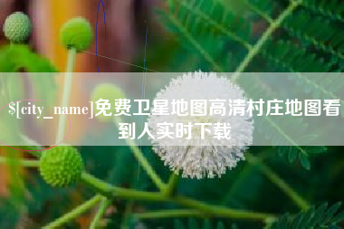 射洪免费卫星地图高清村庄地图看到人实时下载