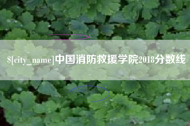 射洪中国消防救援学院2018分数线