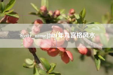 射洪2021年九宫格风水