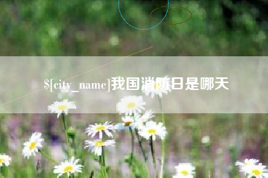 射洪我国消防日是哪天