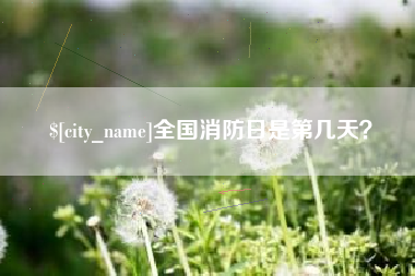 射洪全国消防日是第几天？