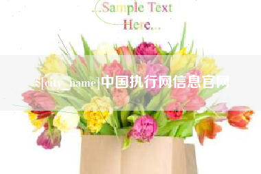 射洪中国执行网信息官网