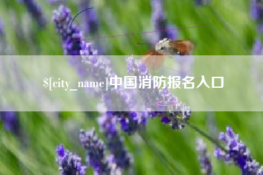 射洪中国消防报名入口