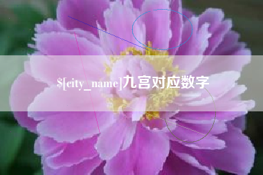 射洪九宫对应数字