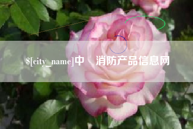 射洪中囯消防产品信息网