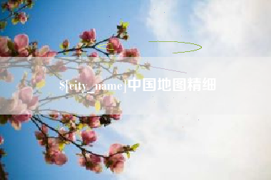 射洪中国地图精细