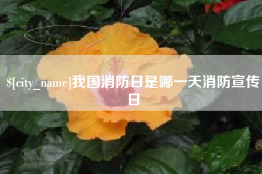 射洪我国消防日是哪一天消防宣传日