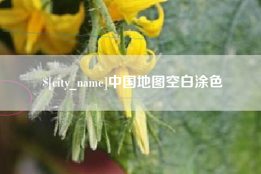 射洪中国地图空白涂色