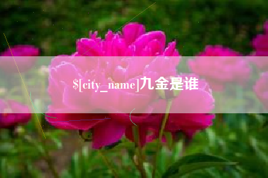 射洪九金是谁