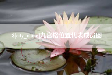 射洪九宫格位置代表成员图