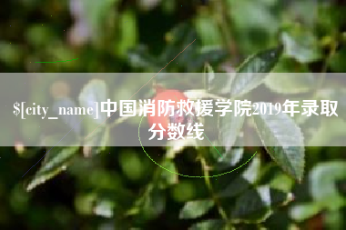 射洪中国消防救援学院2019年录取分数线