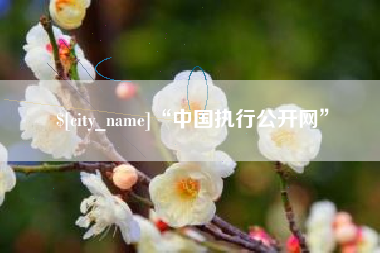 射洪“中国执行公开网”