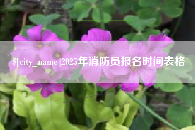 射洪2025年消防员报名时间表格