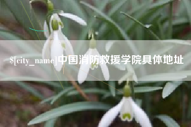 射洪中国消防救援学院具体地址