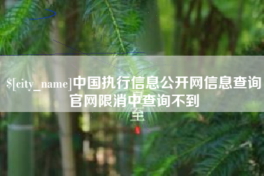 射洪中国执行信息公开网信息查询官网限消中查询不到