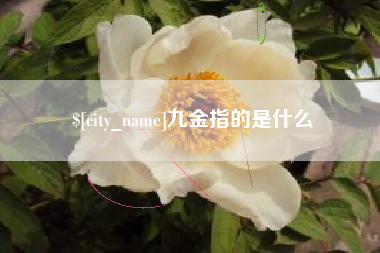 射洪九金指的是什么