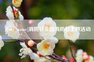 射洪消防日全国消防日主题活动
