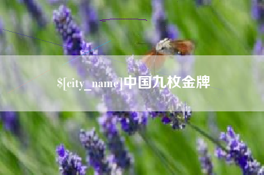 射洪中国九枚金牌