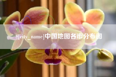 射洪中国地图各市分布图