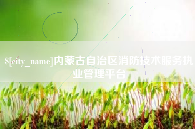 射洪内蒙古自治区消防技术服务执业管理平台