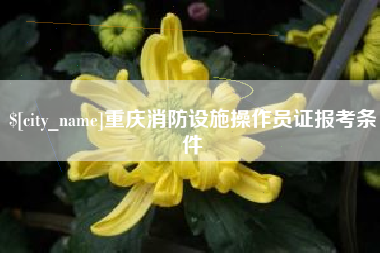 射洪重庆消防设施操作员证报考条件
