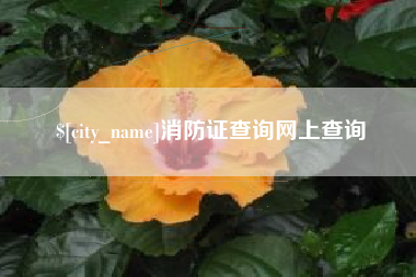 射洪消防证查询网上查询