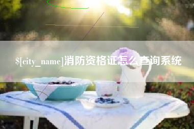 射洪消防资格证怎么查询系统