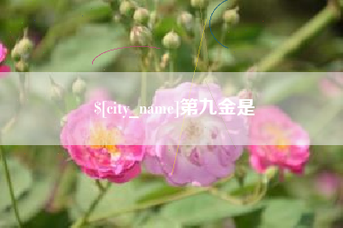 射洪第九金是