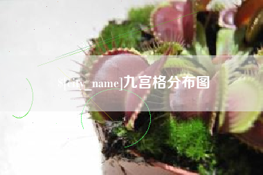 射洪九宫格分布图