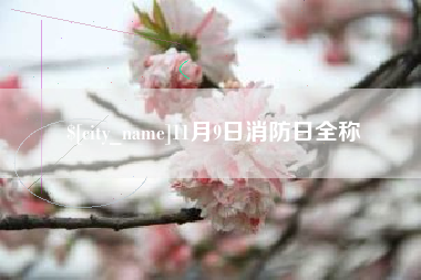射洪11月9日消防日全称