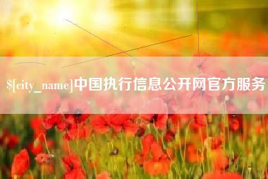 射洪中国执行信息公开网官方服务