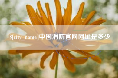 射洪中国消防官网网址是多少