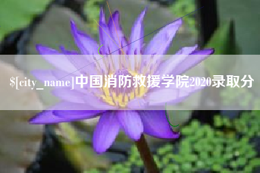 射洪中国消防救援学院2020录取分
