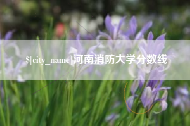 射洪河南消防大学分数线